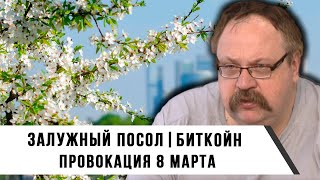 Залужный Посол | Биткойн | Провокации 8 марта | Фёдор Лисицын и Иван Мизеров