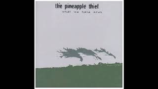 The Pineapple Thief - What Have We Sown ?