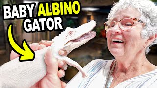 Baby Albino Alligator Vs Grandma!