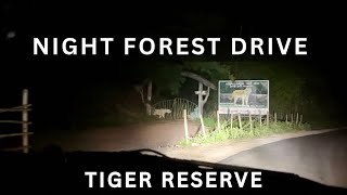 Late Night Forest Drive 🌳 | Nagarjunasagar Srisailam Tiger Reserve | Nallamala Tiger Reserve | Scary