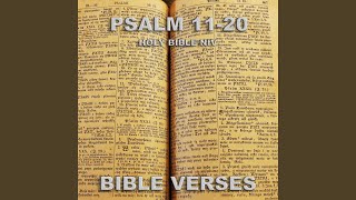 Holy Bible Niv Psalm 14