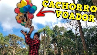 APLICATIVO KWAI APLICA GOLPE EM VÁRIOS YOUTUBERS FAMOSOS!