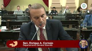 Senador Enrique Cornejo - Aerolíneas Argentinas