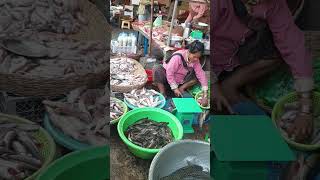 Fish Market #shorts #shortvideos #fishmarket #fish