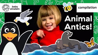 Animal Antics! Learning with Baby | Baby Einstein | Learning Show for Toddlers | Kids Cartoons