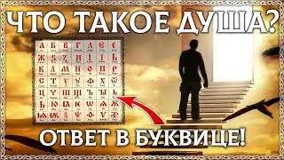 ЧТО ТАКОЕ ДУША? – расшифровка слова! Буквица в помощь! Этимология