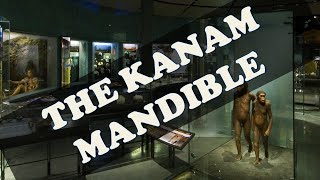 The Unsolved Problem Of The Kanam Mandible | The Earliest Sign Of Cancer In The Genus Homo