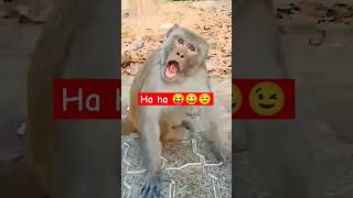 Ha ha 😝😀😉 | #funny #viral #youtubeshorts #ytshorts #trending #shortvideos #comedy #caple #cute #love