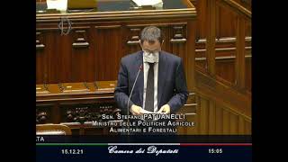 Question Time del Ministro Patuanelli alla Camera dei Deputati sulla Brucellosi