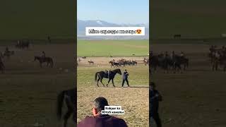 АҚЫЛДЫ АТ😍🐎