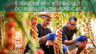 5 reasons why you should do business in The Americas