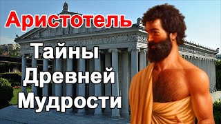 Аристотель. Интересные Факты об Аристотеле. Биография и жизнь Аристотеля