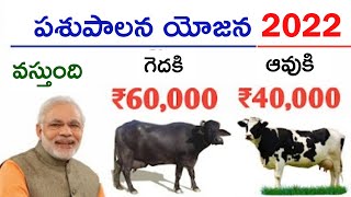 మోడి ప్రబుత్వం ఇస్తుంది అందరికీ ₹1,60,000 | పశు కిసాన్ క్రెడిట్ కార్డ్ యోజన Apply Now