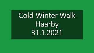 Cold Winter Walk Haarby 31 1 2021