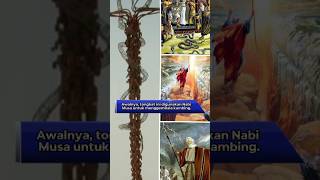 Ternyata tongkat nabi Musa berasal dari......?#shorts #viral #islam #islamic