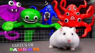 All New Monster Challenges: Hamster Escape From New Monster In Garten Of Banban Maze