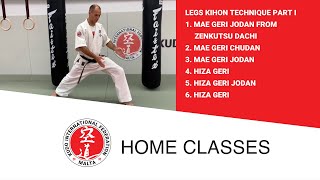 Kudo Home Class 17 - Legs Kihon Technique, part I