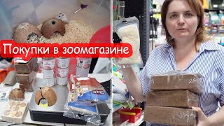 VLOG Купили пол зоомагазина. Мурке плохо