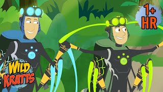 Secrets of the Spider's Web 🕷️🕸️ | FULL EPISODES | Wild Kratts | 9 Story Kids