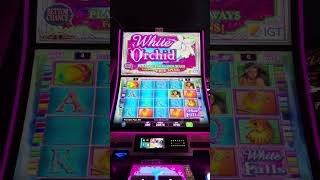 WHITE ORCHID BONUS! $4.80 MAX BET!