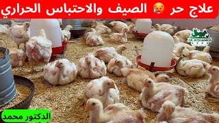 الحل النهائي لحر الصيف 🥵 ونهجان الفراخ والوقايه من الاحتباس الحراري عند الفراخ ✅ مع الدكتور