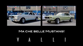 Ma che belle Mustang! VALLIstore La Bottega Americana!