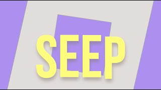 How To Play Seep