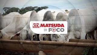 Matsuda em Foco I Série sobre minerais: Benefícios e a importância do Zinco na nutrição dos bovinos