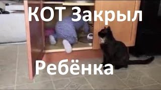 Кот закрыл ребёнка в Шкафу - Корпусная Мебель