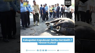 Kabupaten Kepulauan Seribu menyembelih 7 hewan kurban