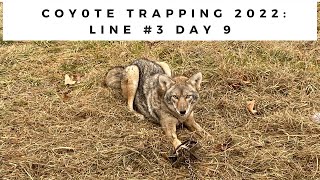 Coyote Trapping 2022:  Line # 3 Day 9