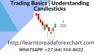 Trading Basics | understanding Candle Sticks