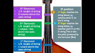 Bass Harmonic Tuning Aug 2023