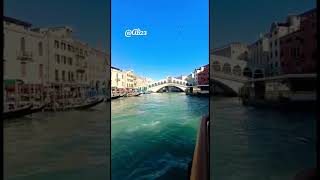 Ponte di Rialto a Venezia #shortsvideo