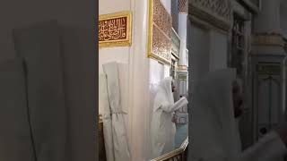 নবীর রওজায় সালাম পেশ #nabir_rawza #madina #short_video