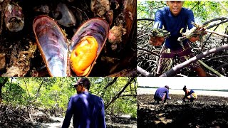 PESCARIA DE SURURU, deu CARANGUEJO e até SIRI #pesca#sururu#caranguejo