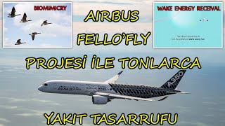 Airbus Fello'Fly Projesi ile Tonlarca Yakıt Tasarrufu Sağlayacak | Biomimikri | Wake Energy Receival