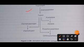 Zymogen explained#csirnet #gatexl2023