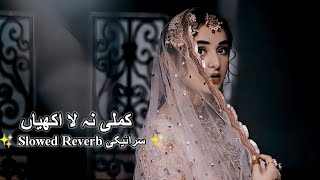 Kamli Na La Akhiyan| کملی نہ لا اکھیاں |  Saraiki Slowed Song |#10k Saraiki Lofi Music