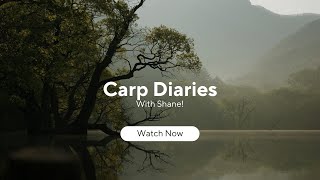 Carp Diaries - the Local syndicate