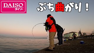 ダイソールアーロッドリールで大きな魚釣りまくるとこうなります。