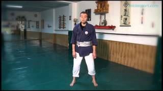 Kenpo Jutsu Hakuda 1. Introducción