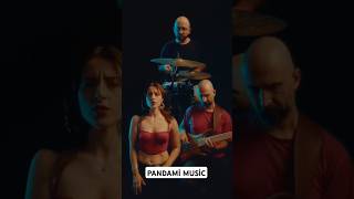 Pandami music pamuk kalbinden taşınıyorum #pandamimusic #kenandoğulu #sertaperener #showmustgoon