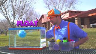 A Blippi Compilation of Educational Videos for Toddlers  Sink or Float and more!