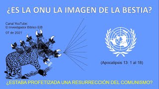 ¿ES LA ONU LA IMAGEN DE LA BESTIA?