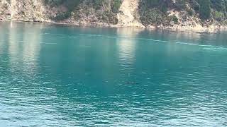 Onboard the Interislander - Wellington to Picton (silent video- no talking)