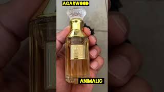 ✅Top 3 Perfumes from Lattafa /Best Winter Perfumes #shorts #youtubeshorts #ytshorts