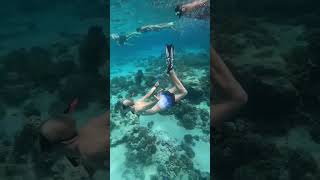 Back Roll Freedive Style #mtgililombok #shortsfeed#feedshorts #snorkeling #viral#gili#short #shorts