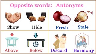 Theme 33:  List of Opposite words: Antonyms #oppositewordsinenglish