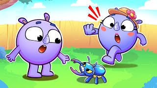 Some Bugs Bite Song 🐞 | Funny Kids Songs 😻🐨🐰🦁 by Baby Zoo TV